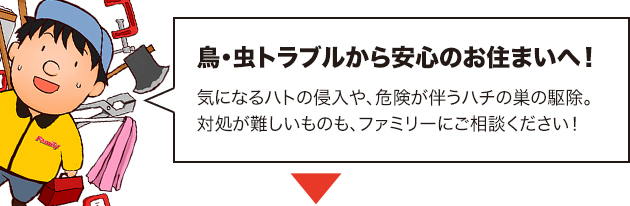 防鳥対策・ハチの巣駆除